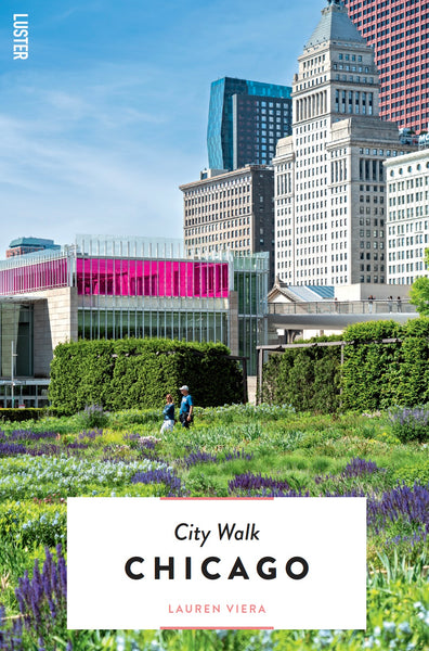 City Walk Chicago: Shoreline & Skyscrapers